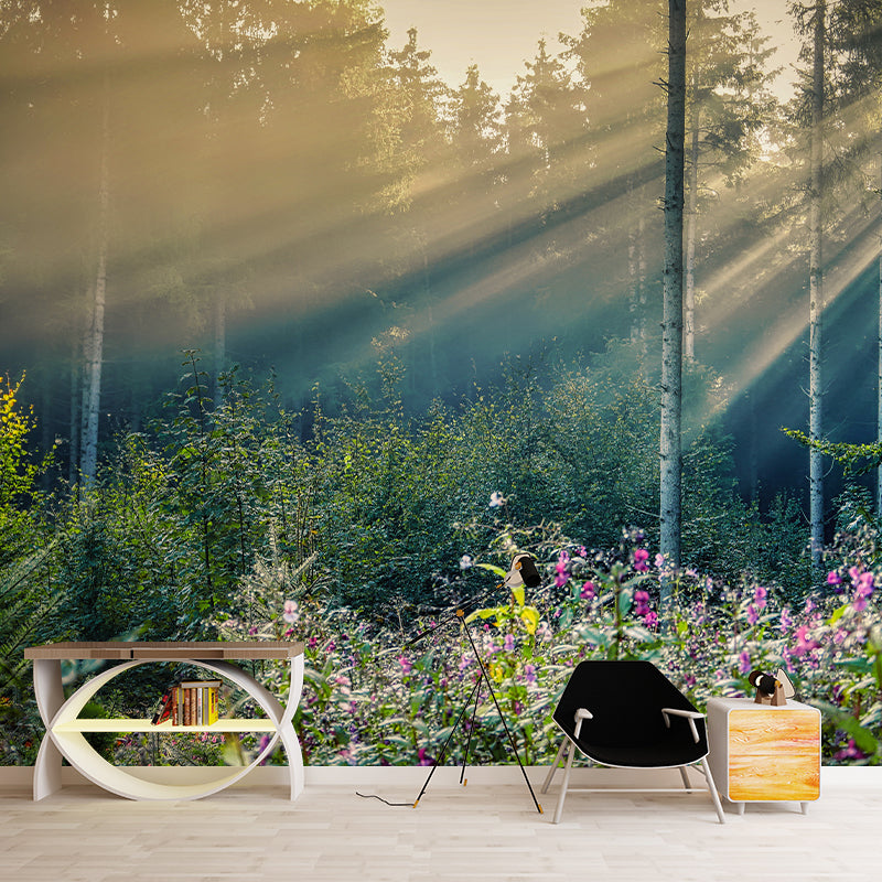 Photography Environmental Wall Mural Forest Stain Resistant Home Wall Mural
