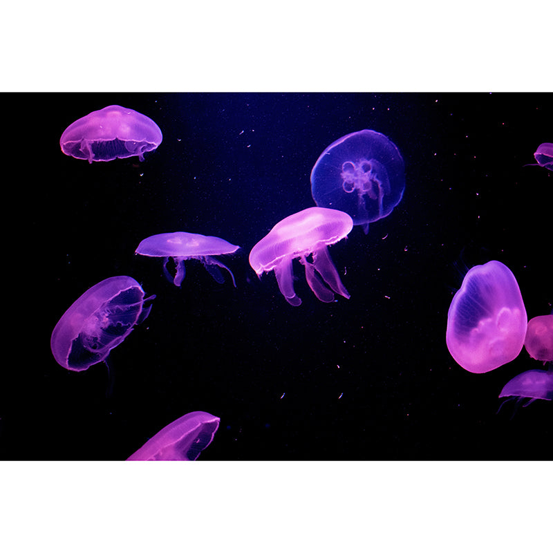 Photography Wall Mural Jellyfish Print Drawing Room Wall Mural