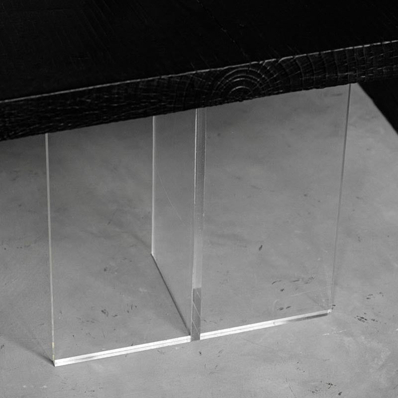 Acrylic Clear Double Pedestal Dining Table Modern Solid Wood Top Dinette Table