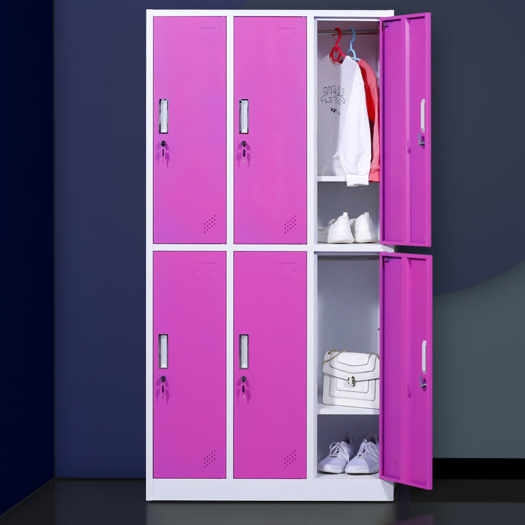 Matte Finish Cabinet with Metal Door Modern Hinged Door Wardrobe