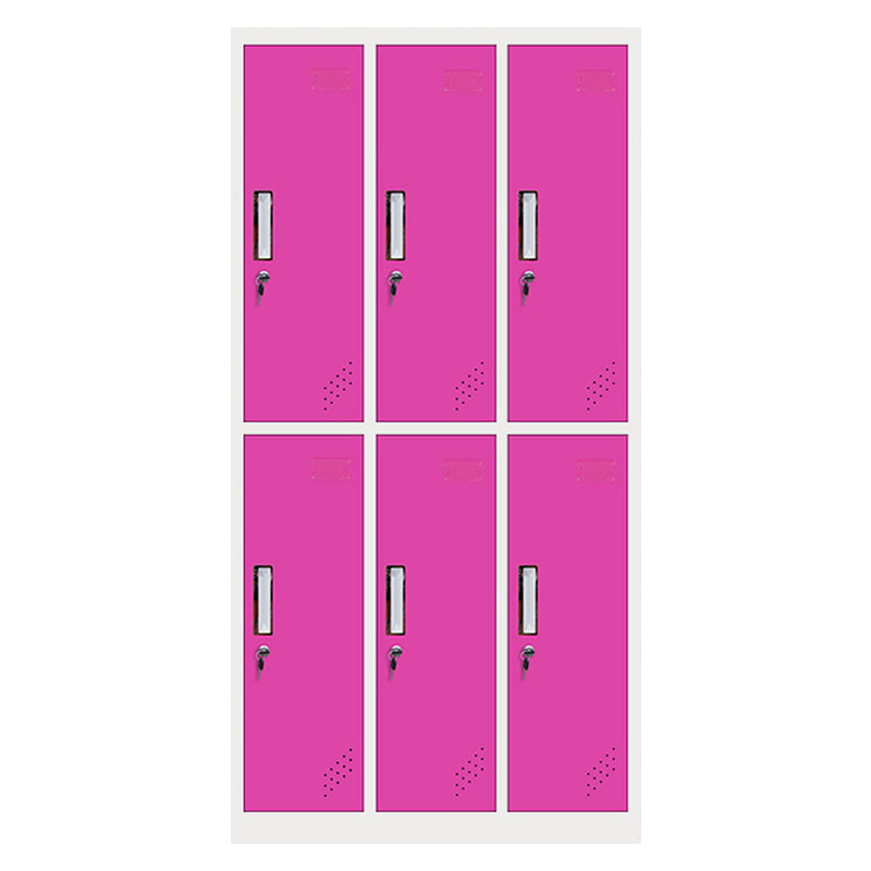 Matte Finish Cabinet with Metal Door Modern Hinged Door Wardrobe