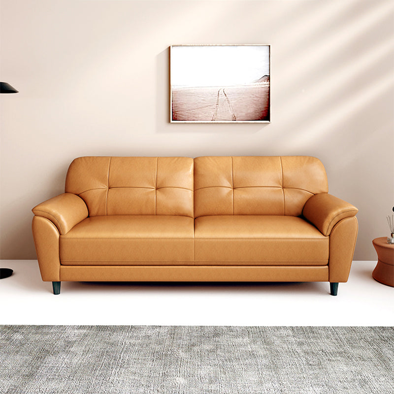 Stain Resistant Contemporary Pillow Top Arm Standard Settee Couch