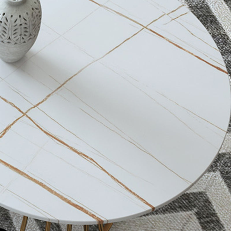 Glam 17.7" H Oval Slate Coffee Table Metal Frame Cocktail Table