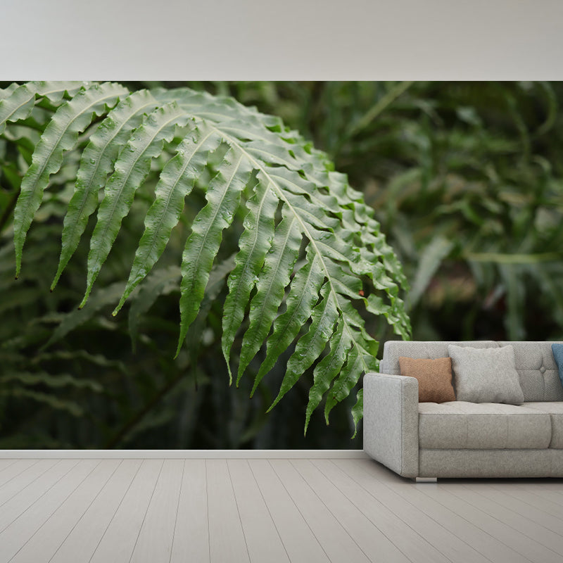 Decorative Wall Mural Tropical Plant Leaf Printed Sitting Room Wall Mural
