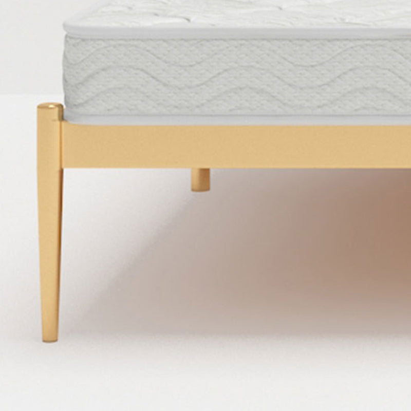 Glam Metallic Standard Bed, Beveled Open-Frame Headboard Bed Frame