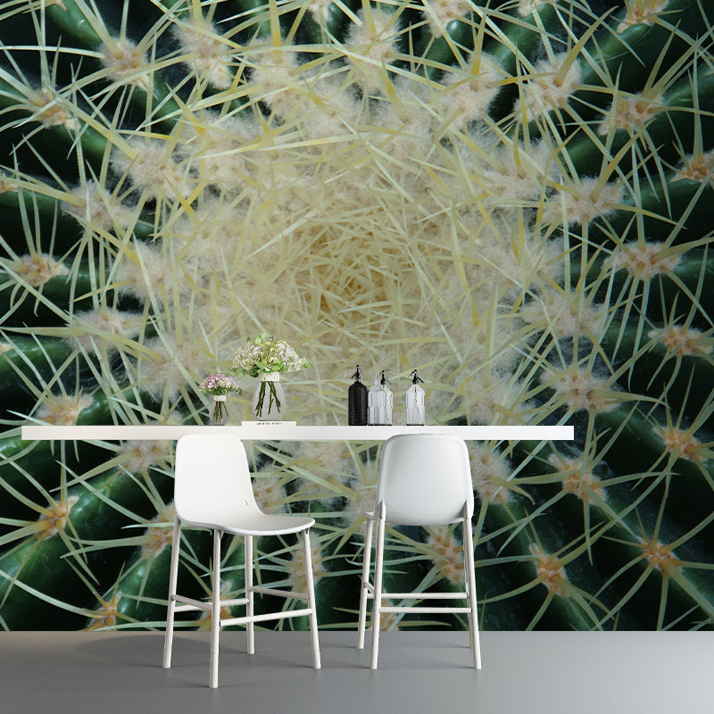 Photography Wall Mural Cactus Pattern Living Room Wall Mural