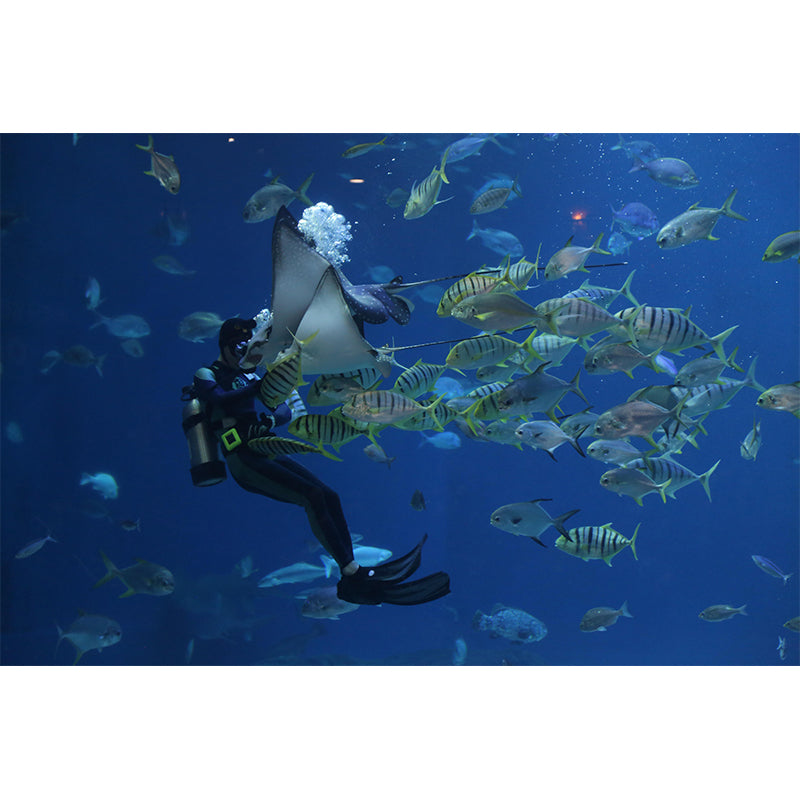 Fashionable Wall Mural Seabed Patterned Sitting Room Wall Mural