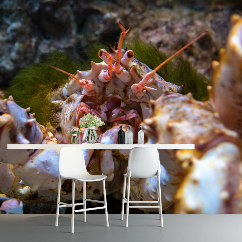 Pleasing Wall Mural Octopus Patterned Sitting Room Wall Mural