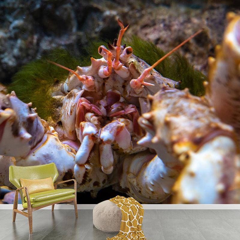 Pleasing Wall Mural Octopus Patterned Sitting Room Wall Mural