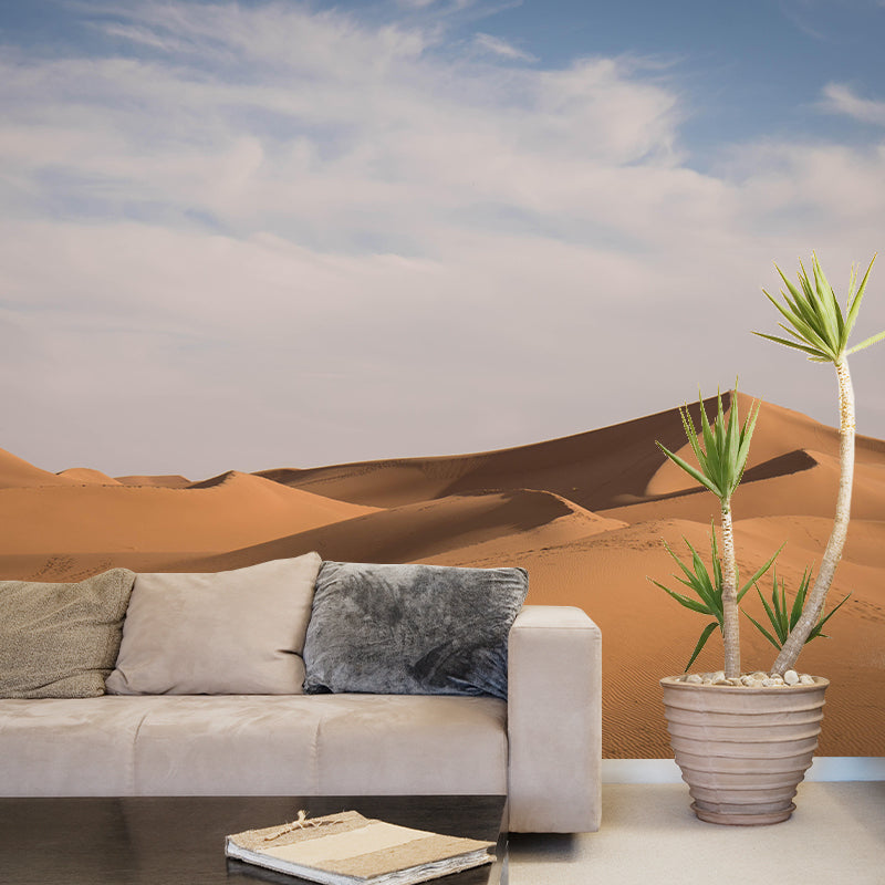 Photography Desert Wall Mural Living Room Decorative Mildew Resistant Wall Mural