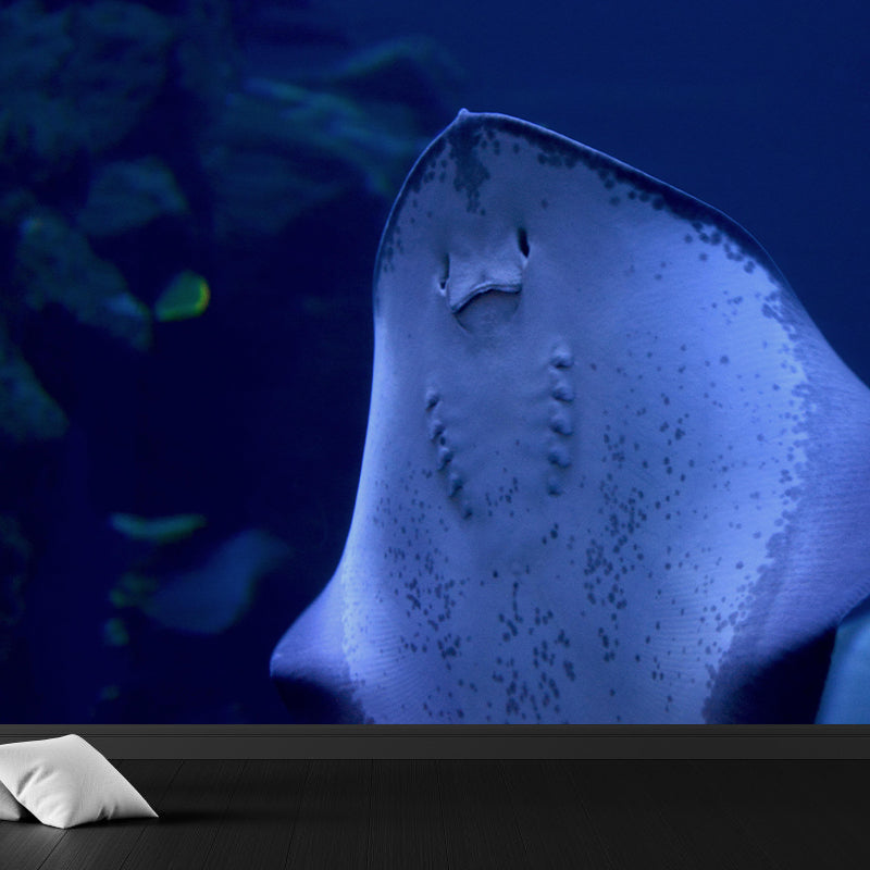 Photography Wall Mural Fish Patterned Living Room Wall Mural