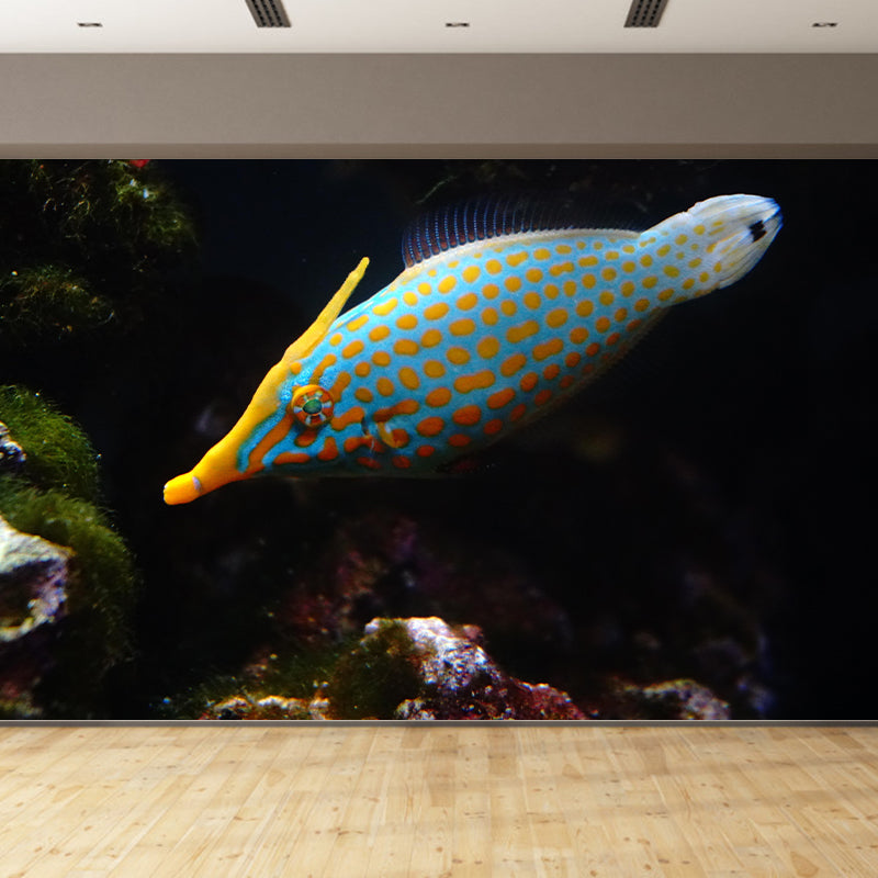 Attractive Wall Mural Fish Patterned Sitting Room Wall Mural
