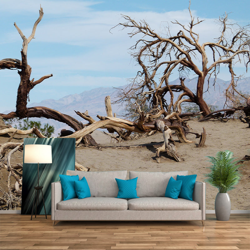 Landscapes Photography Wall Mural Stain Resistant Desert Contemporary House Murals