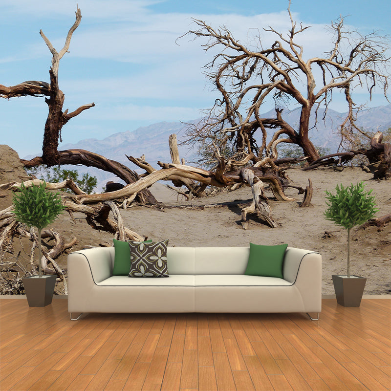 Landscapes Photography Wall Mural Stain Resistant Desert Contemporary House Murals