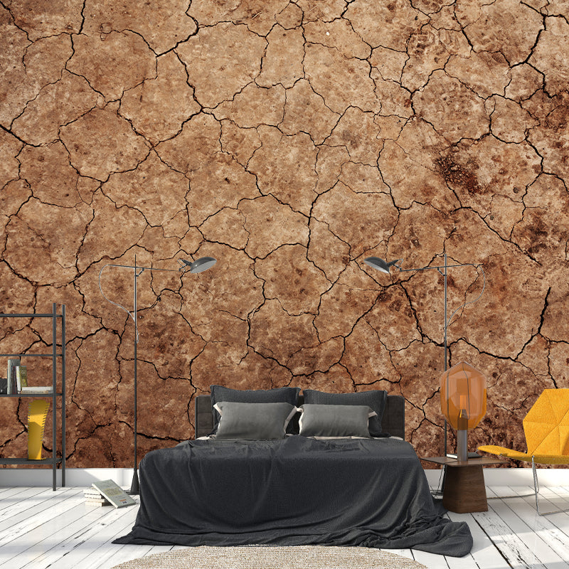 Environmental Wall Mural Stain Resistant Desert Photography Wall Mural