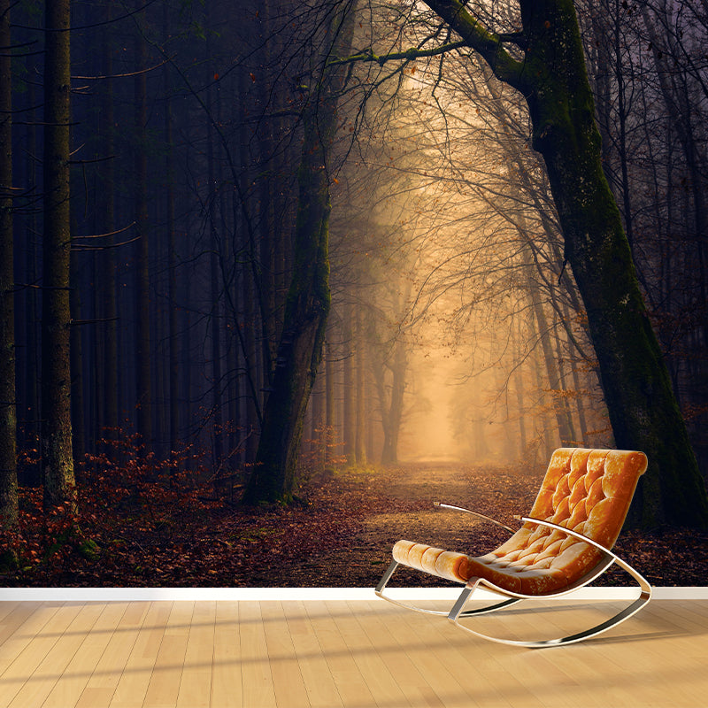 Photography Trees Wall Mural Moisture Resistant Environmental Forest Wallpaper