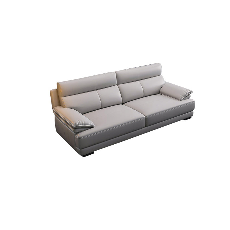 Scandinavian Stationary Cloud Gray Genuine Leather Cushion Back Sofa