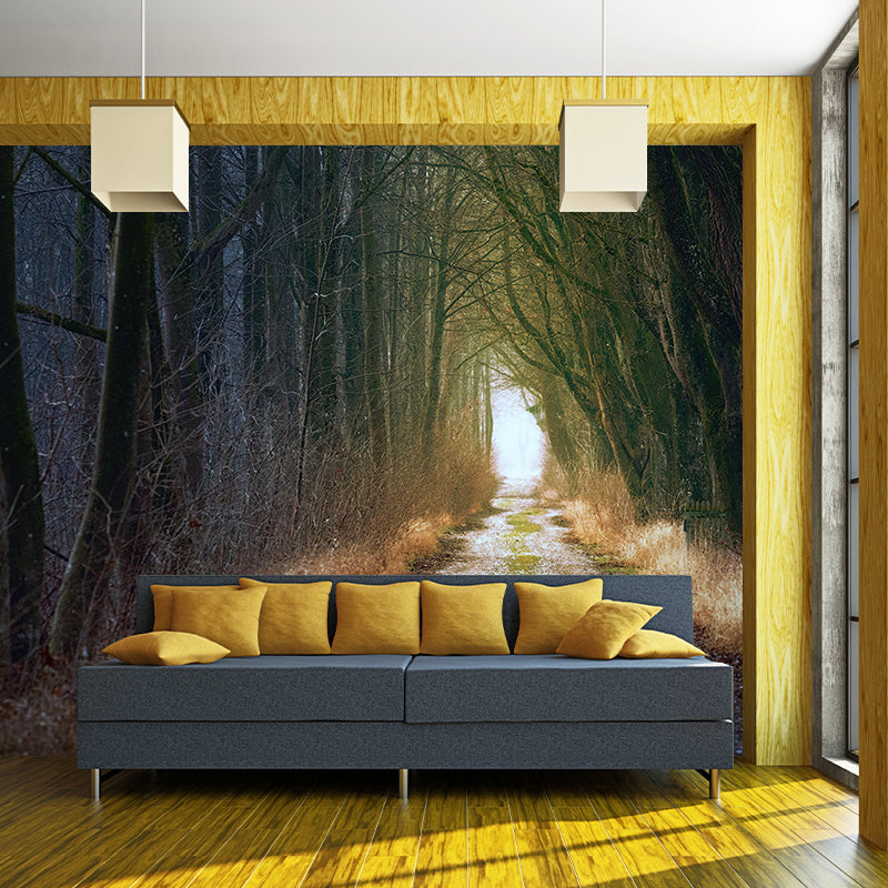 Forest Environmental Wall Mural Stain Resistant Environmental Wall Mural
