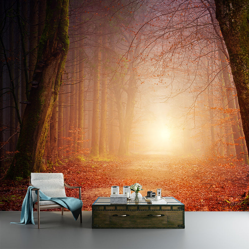 Home Environmental Wallpaper Forest Living Room Resistant Photography Wall Mural