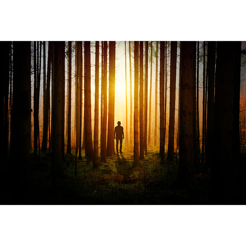 Stain Resistant Wall Mural Environmental Landscapes Photography Wall Mural