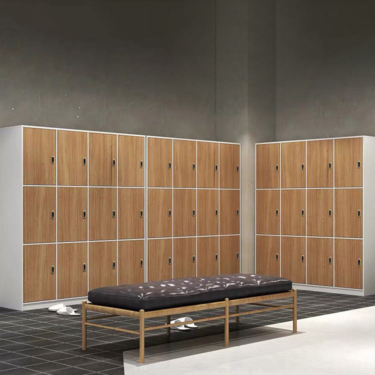 Natural Finish Indoor Cabinet Contemporary Storage Cabinet with Hinged Door