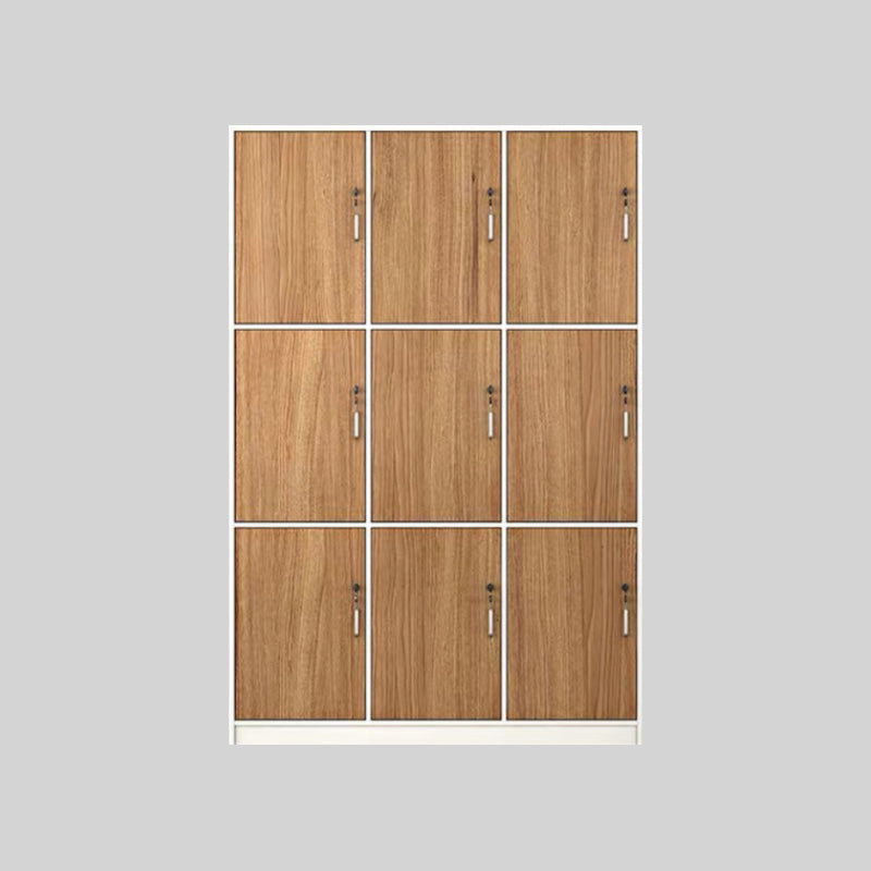 Natural Finish Indoor Cabinet Contemporary Storage Cabinet with Hinged Door