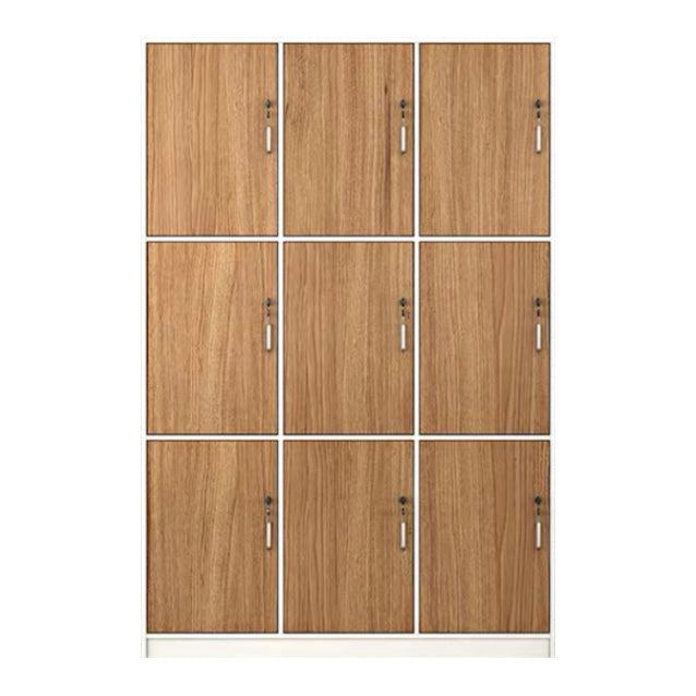 Natural Finish Indoor Cabinet Contemporary Storage Cabinet with Hinged Door
