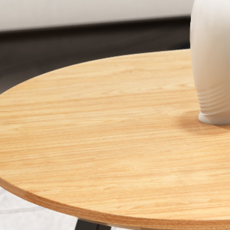 Solid Wood 2 Legs Coffee Table Modern Minimalist Coffee Table