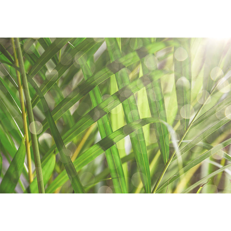 Exquisite Wall Mural Tropical Plant Leaf Print Sitting Room Wall Mural