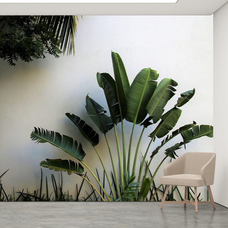 Alluring Wall Mural Tropical Plant Leaf Printed Drawing Room Wall Mural