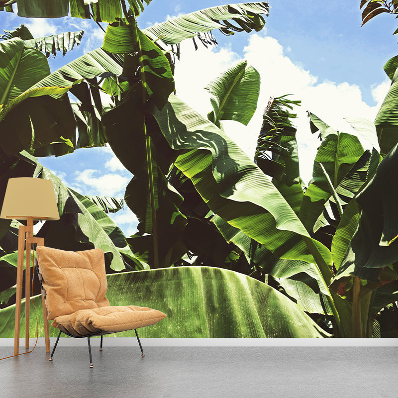 Stunning Wall Mural Tropical Plant Leaf Pattern Living Room Wall Mural