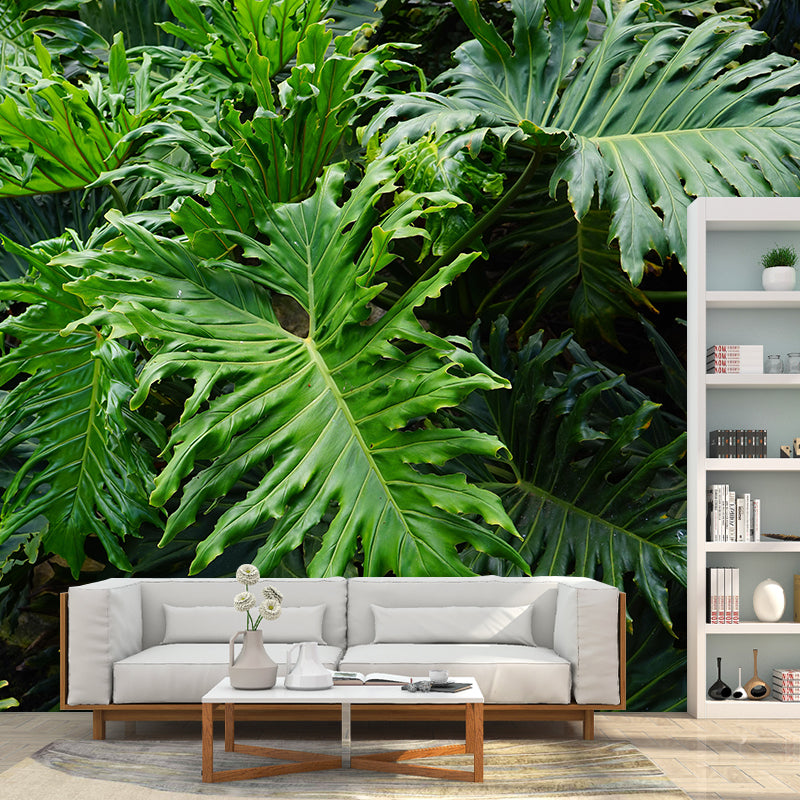 Attractive Wall Mural Tropical Plant Leaf Print Sitting Room Wall Mural