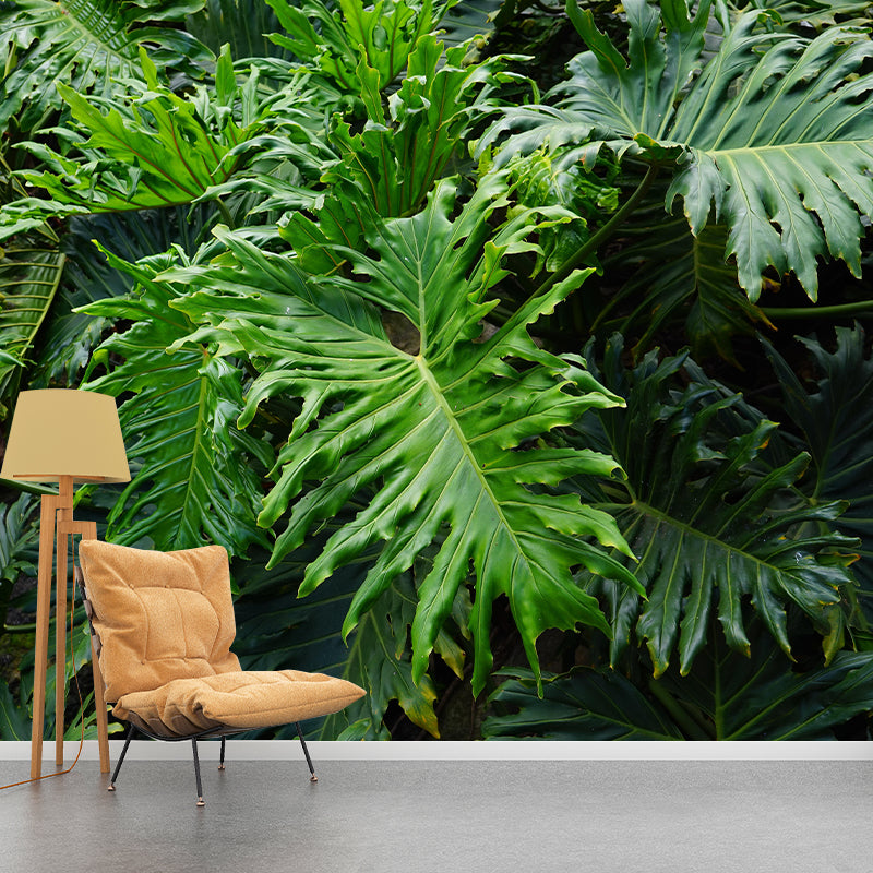 Attractive Wall Mural Tropical Plant Leaf Print Sitting Room Wall Mural