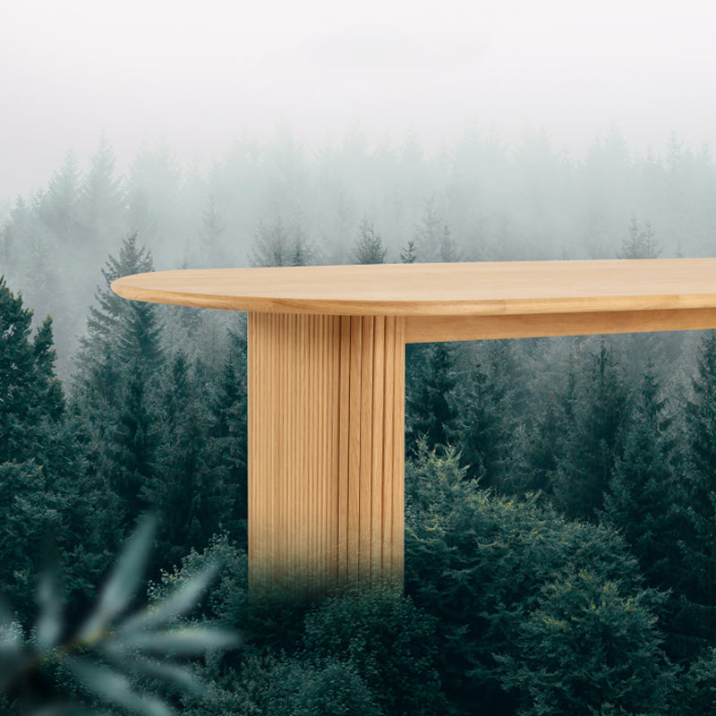 Modern Dinning Table Oval Solid Wood Furniture with Double Pedestal for Coffee