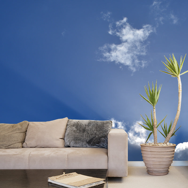 Photography Sky Print Resistant Wall Mural Environmental Living Room Wall Mural