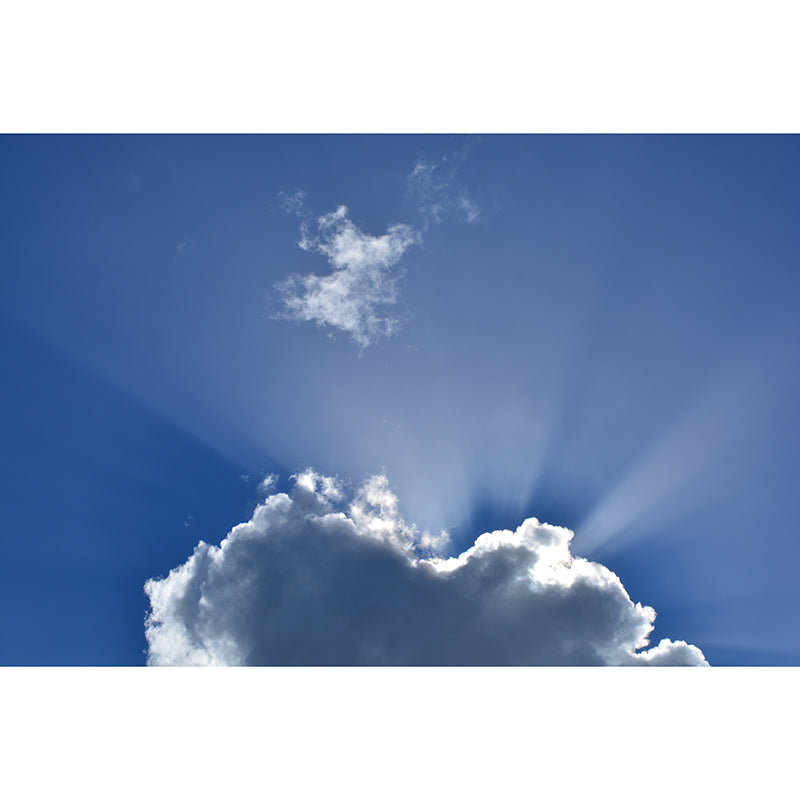 Photography Sky Print Resistant Wall Mural Environmental Living Room Wall Mural