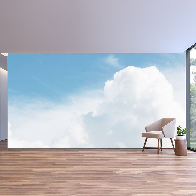 Modern Stain Resistant Wall Mural Sky Photography Living Room Wall Mural