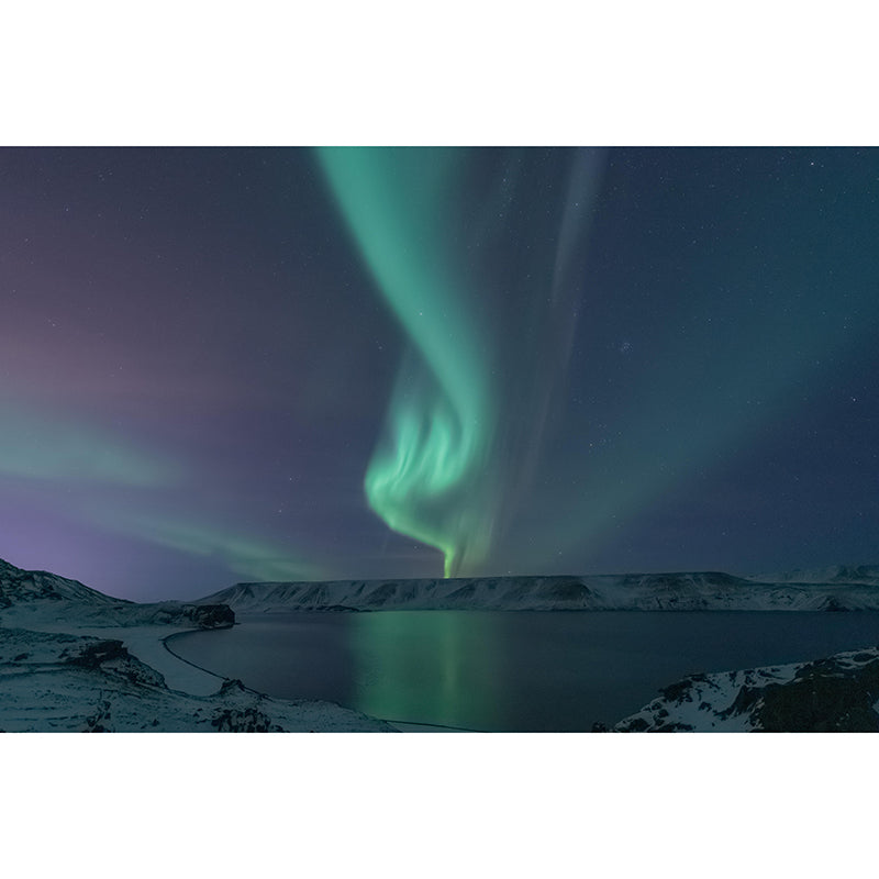 Photography Wall Mural Sky Printed Environmental Stain Resistant Modern Wall Mural