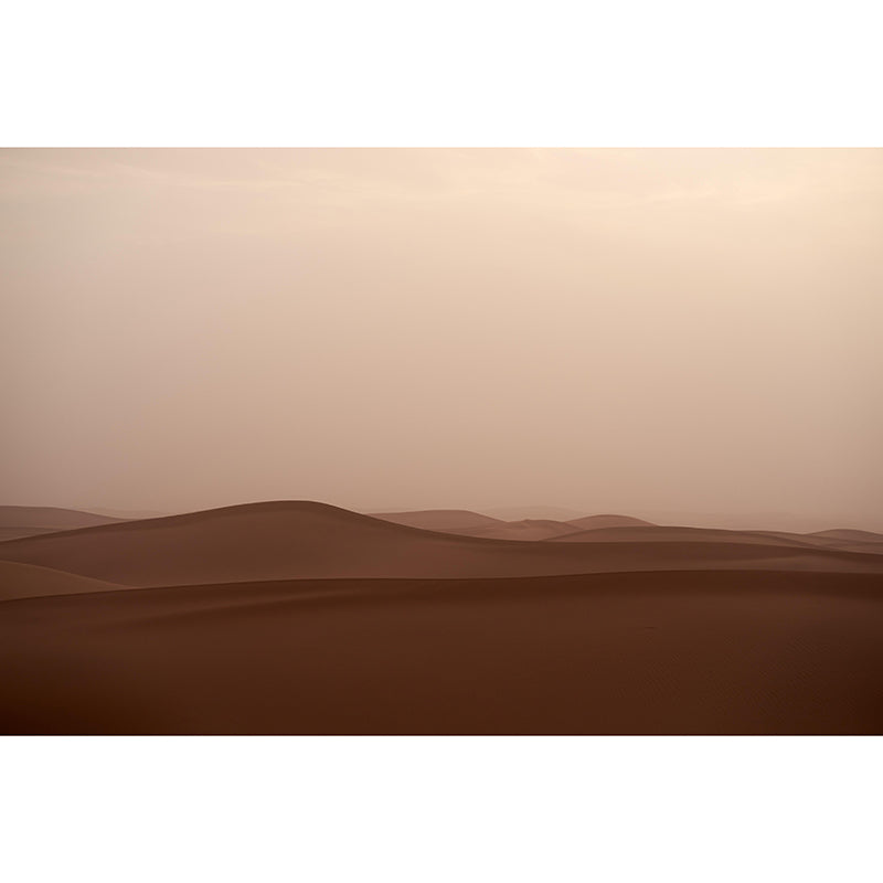Photography Wallpaper Decorative Home Stain Resistant Desert Wall Mural