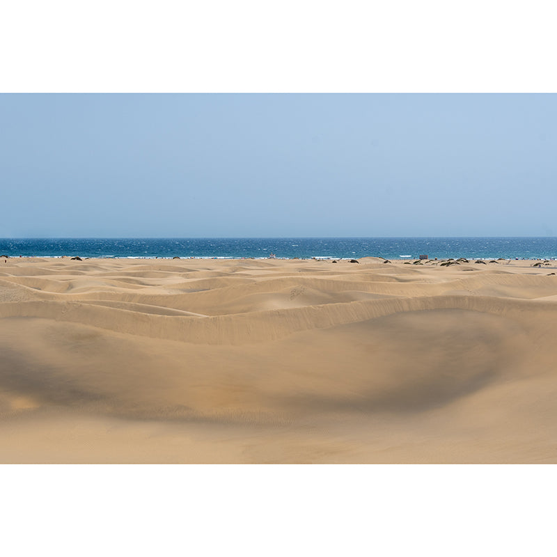 Contemporary Room Murals Photography Desert Stain Resistant Wall Mural