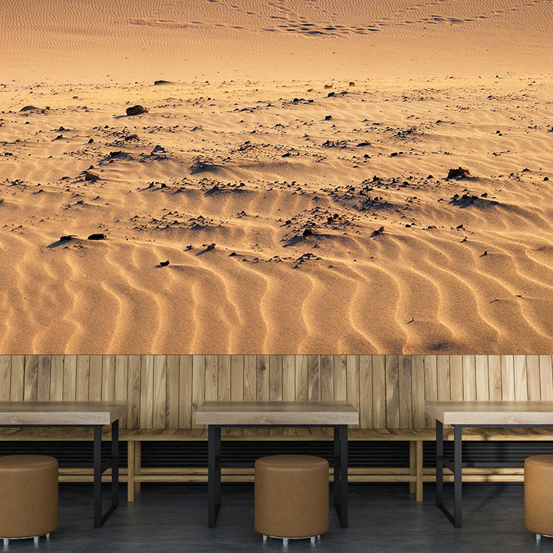 Stain Resistant Wallpaper Desert Photography Environmental Landscapes Wall Mural