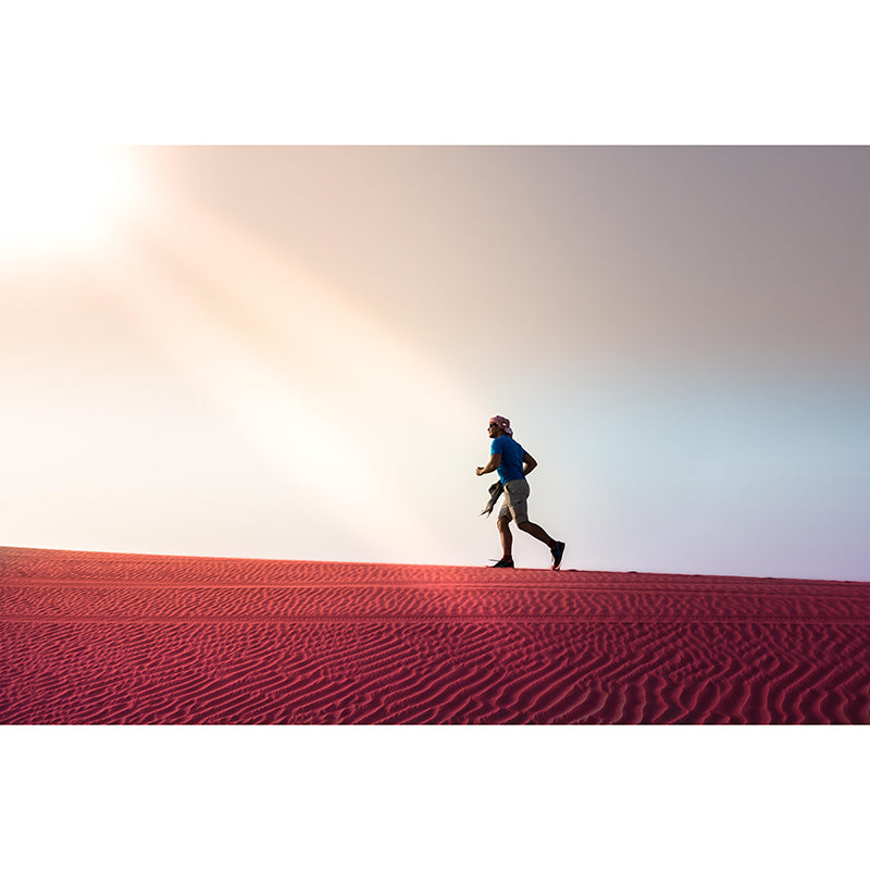 Environmental Mural Landscapes Stain Resistant Desert Photography Wall Mural