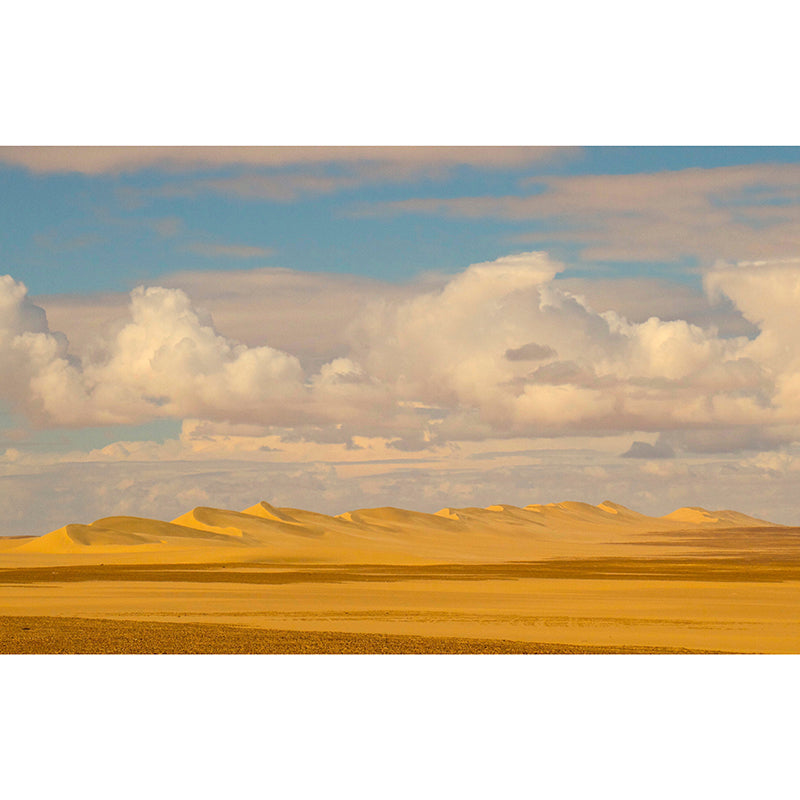 Photography Mural Modern Mildew Resistant Landscapes Interior Wall Murals