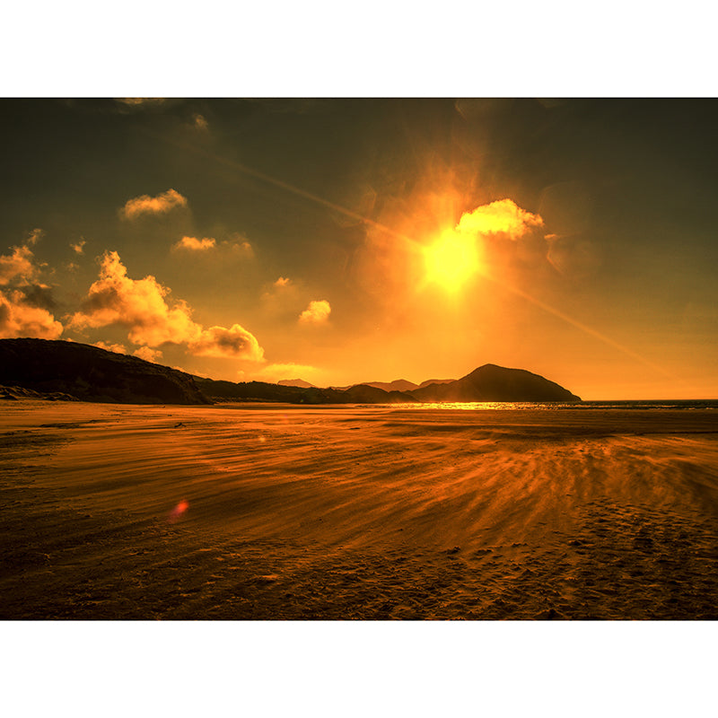 Contemporary Mildew Resistant Mural Photography Landscapes Wall Murals for Home