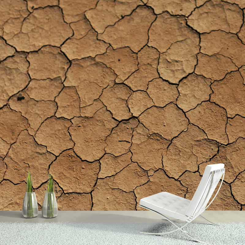 Photography Wallpaper Dry Desert Modern Stain Resistant for Accent Wall