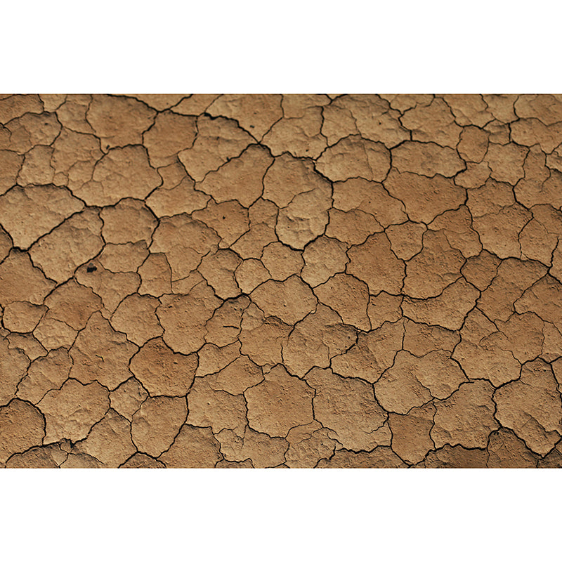 Photography Wallpaper Dry Desert Modern Stain Resistant for Accent Wall