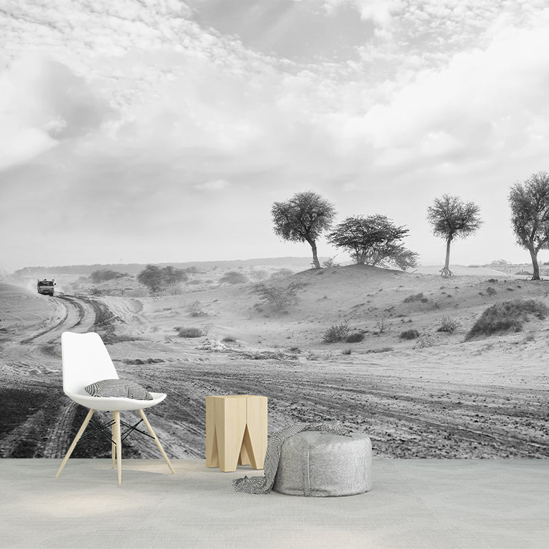 Contemporary Landscapes Wall Mural Photography Desert Resistant Wallpaper