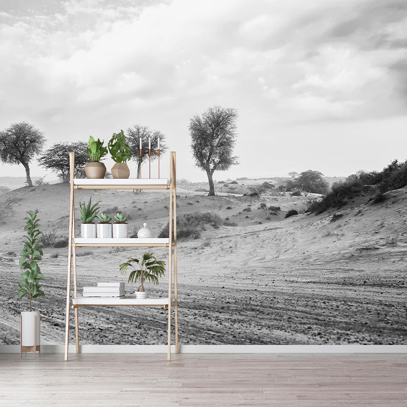 Contemporary Landscapes Wall Mural Photography Desert Resistant Wallpaper