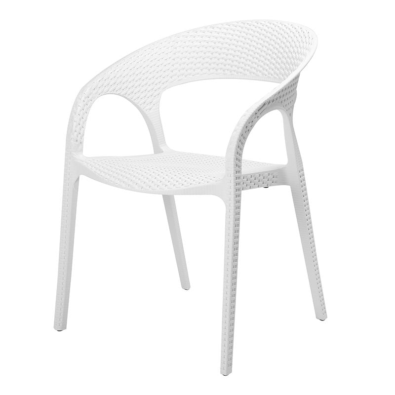 Contemporary Chair Dining Arm Chair with Plastic Legs for Kitchen