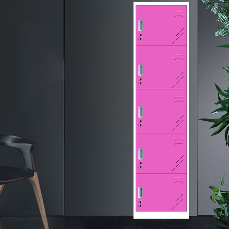 Contemporary Wardrobe Closet Hinged Wardrobe Cabinet for Home